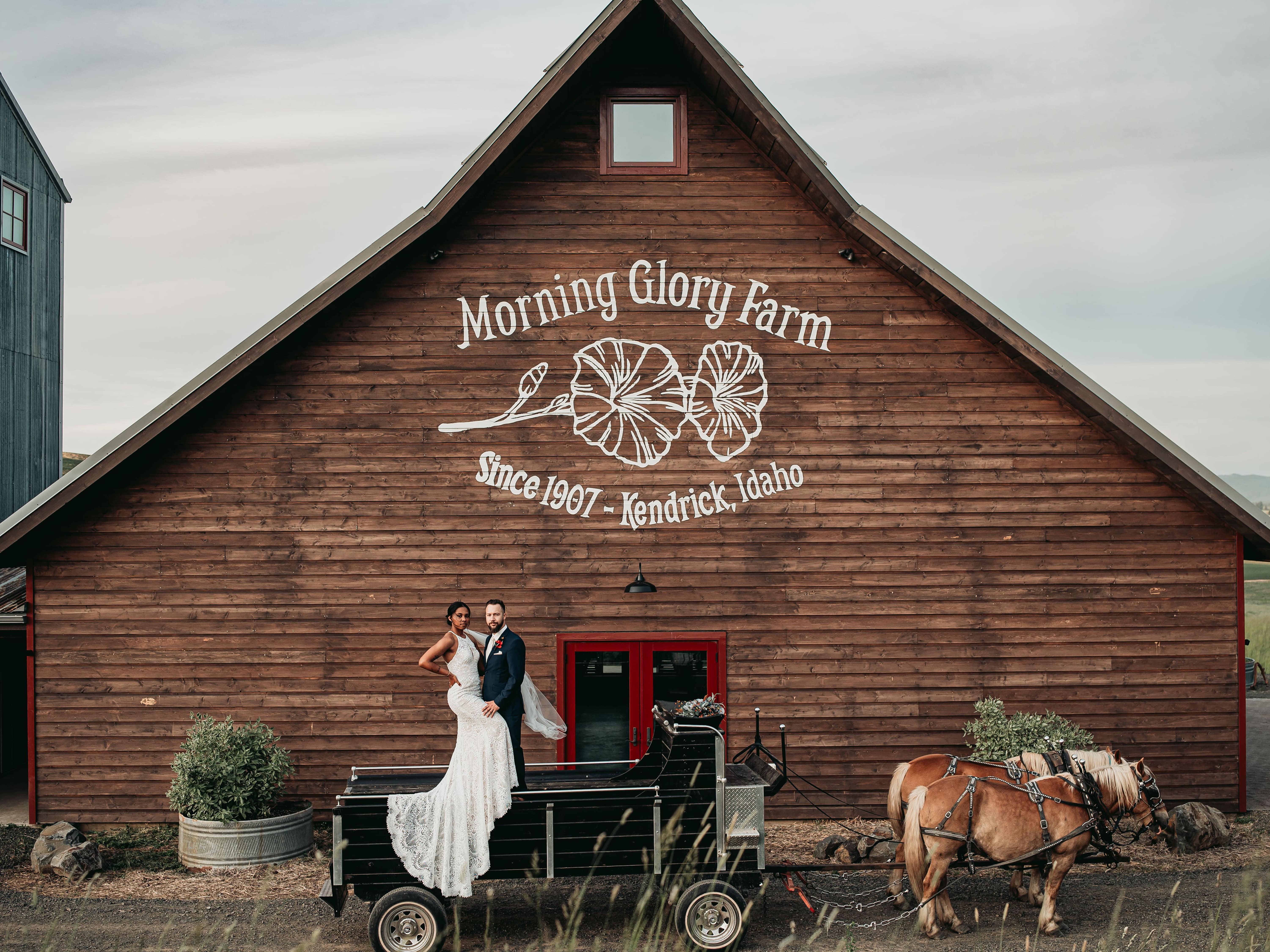Morning Glory Farm