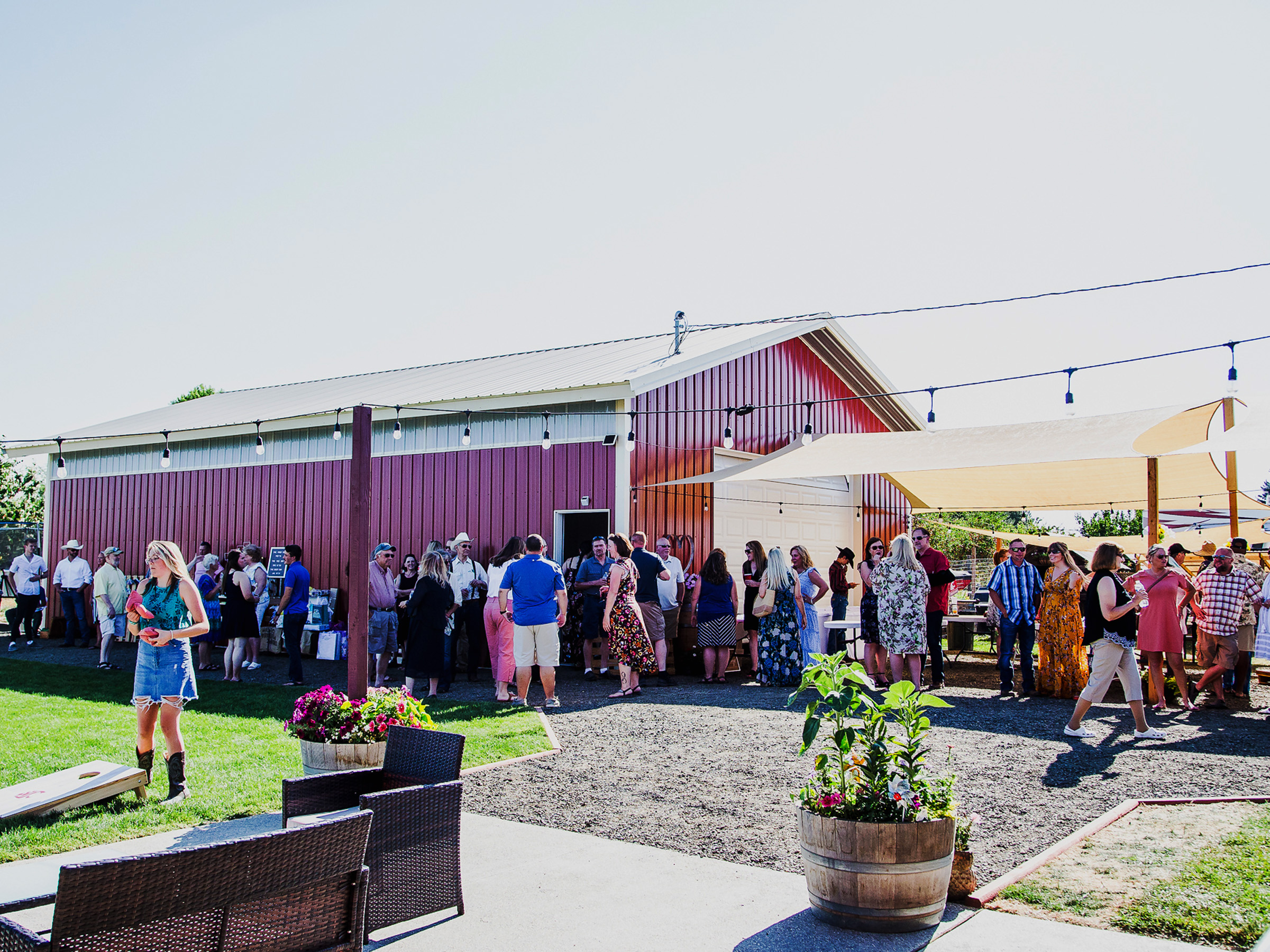 Mountain View Venue