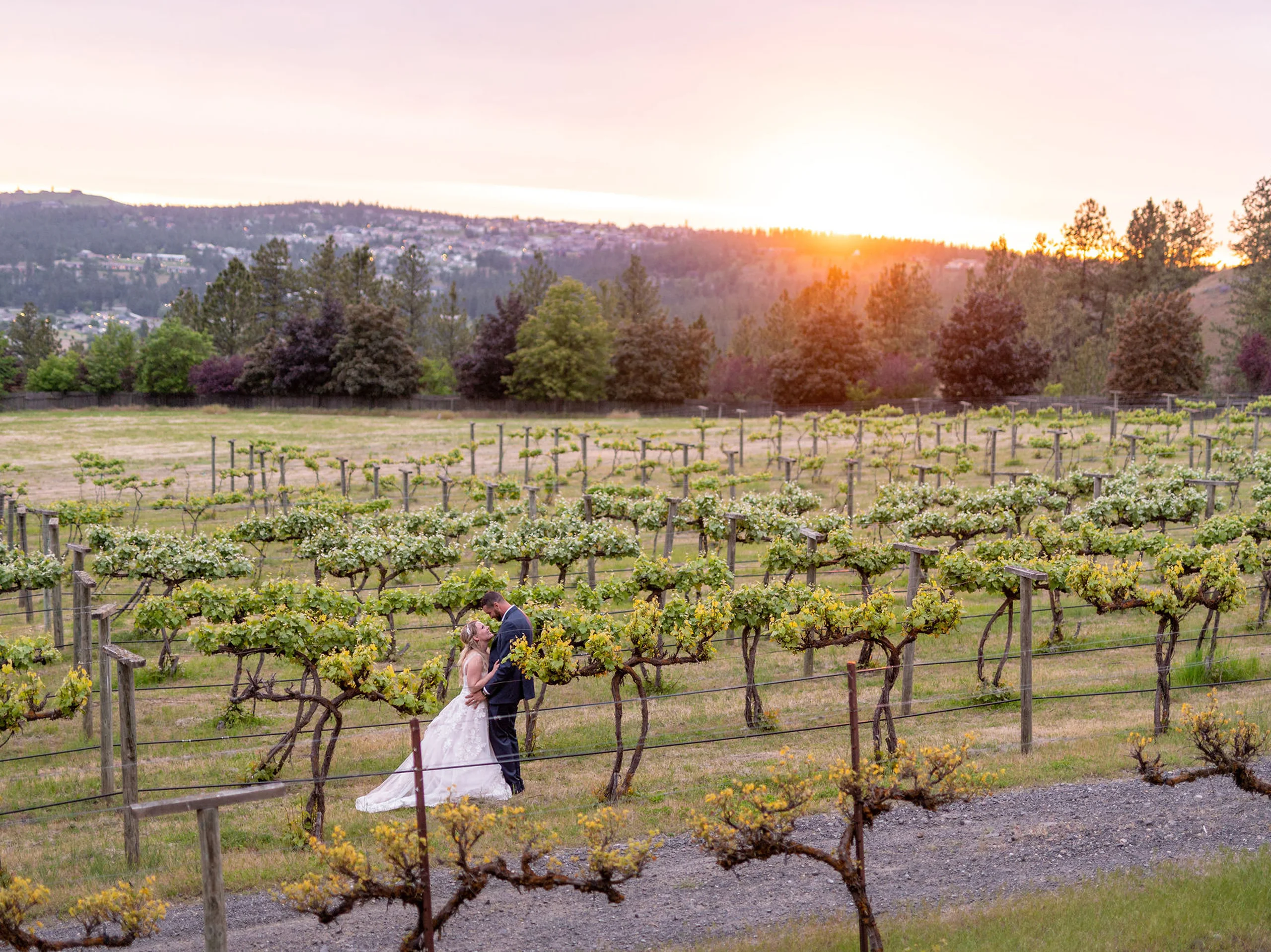 Arbor Crest Wine Cellars